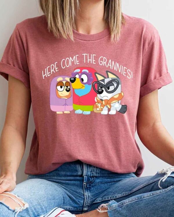 Here Come The Grannies 2 – Sweatshirt, Tshirt, Hoodie